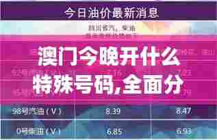 澳门今晚开什么特殊号码,全面分析应用数据_bundle33.751-9