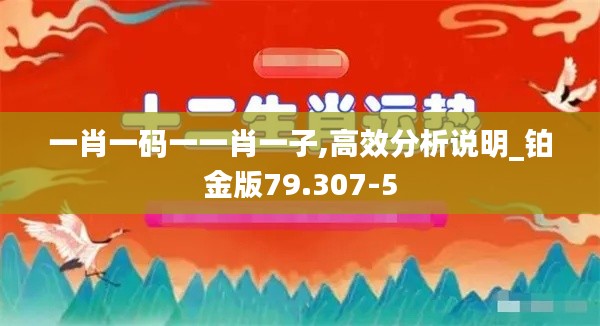 一肖一码一一肖一子,高效分析说明_铂金版79.307-5