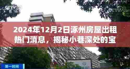 揭秘涿州房屋出租新热点，小巷深处的宝藏与独特小店故事，热门消息（2024年）