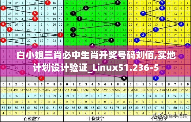 白小姐三肖必中生肖开奖号码刘佰,实地计划设计验证_Linux51.236-5