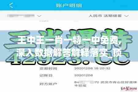 王中王一肖一特一中免费,深入数据解答解释落实_顶级款20.898-1