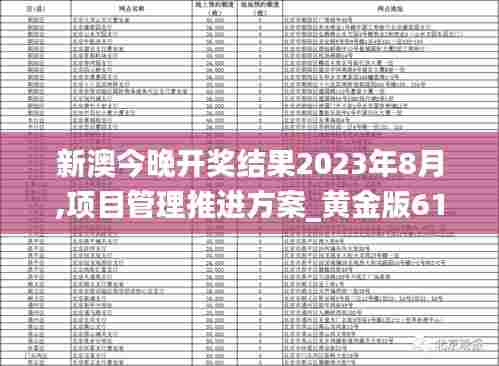 新澳今晚开奖结果2023年8月,项目管理推进方案_黄金版61.938-9