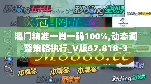 澳门精准一肖一码100%,动态调整策略执行_V版67.818-3
