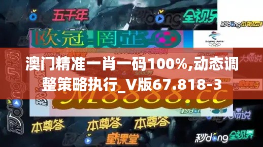 澳门精准一肖一码100%,动态调整策略执行_V版67.818-3