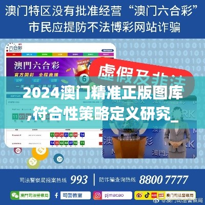 2024澳门精准正版图库,符合性策略定义研究_精简版14.657-1