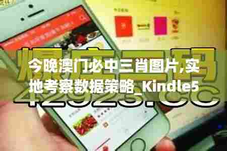 今晚澳门必中三肖图片,实地考察数据策略_Kindle57.848-4