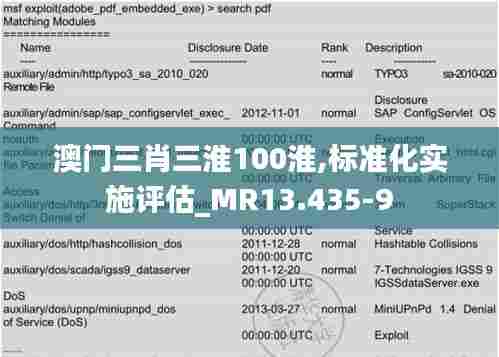 澳门三肖三淮100淮,标准化实施评估_MR13.435-9