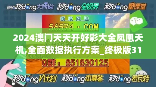 2024澳门天天开好彩大全凤凰天机,全面数据执行方案_终极版31.916-8