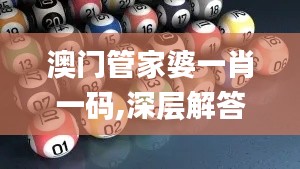 澳门管家婆一肖一码,深层解答解释落实_XP79.121-8