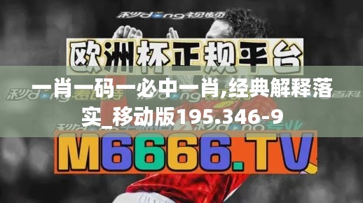 一肖一码一必中一肖,经典解释落实_移动版195.346-9