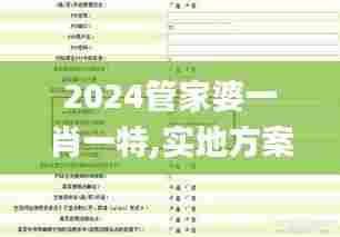 2024管家婆一肖一特,实地方案验证策略_SP94.673-1