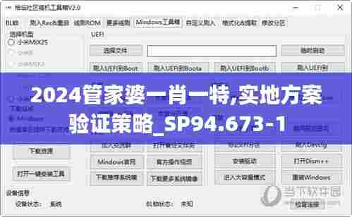 2024管家婆一肖一特,实地方案验证策略_SP94.673-1