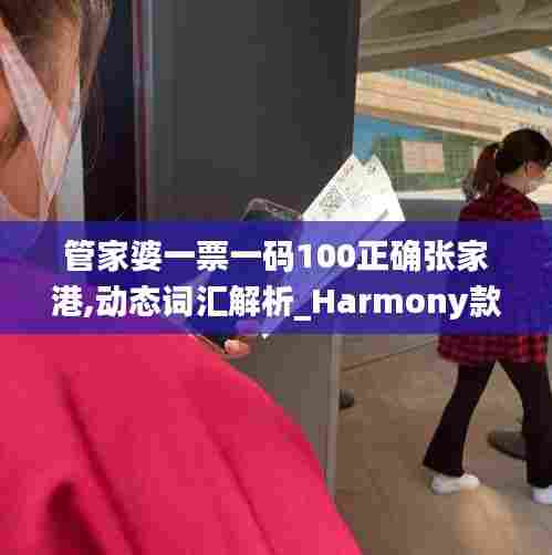 管家婆一票一码100正确张家港,动态词汇解析_Harmony款86.230-9