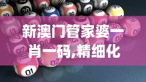 新澳门管家婆一肖一码,精细化方案实施_Essential95.681-4