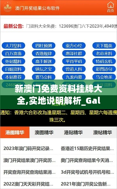 新澳门免费资料挂牌大全,实地说明解析_Galaxy15.586-2