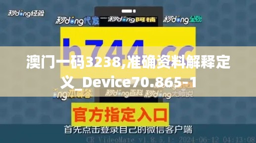 澳门一码3238,准确资料解释定义_Device70.865-1