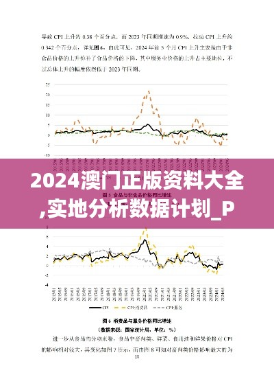 2024澳门正版资料大全,实地分析数据计划_Pixel82.123-1