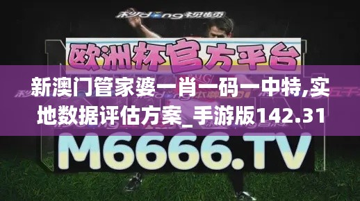 新澳门管家婆一肖一码一中特,实地数据评估方案_手游版142.317-6
