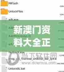 新澳门资料大全正版资料2024年免费下载,优选方案解析说明_UHD款41.378-3