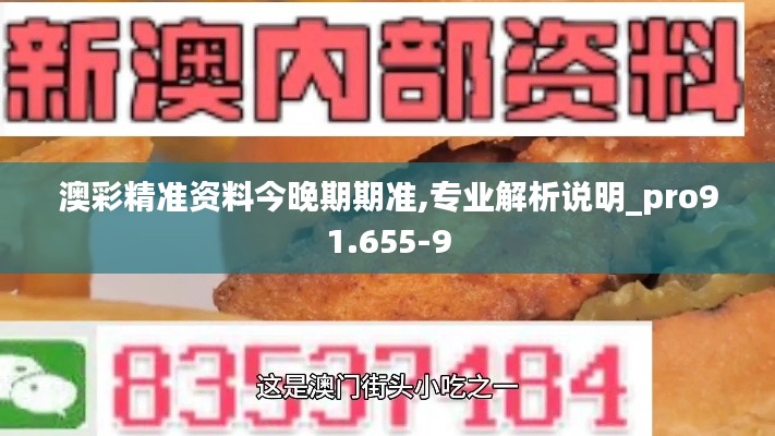 澳彩精准资料今晚期期准,专业解析说明_pro91.655-9