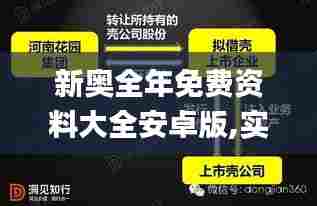 新奥全年免费资料大全安卓版,实际应用解析说明_2DM28.294-9