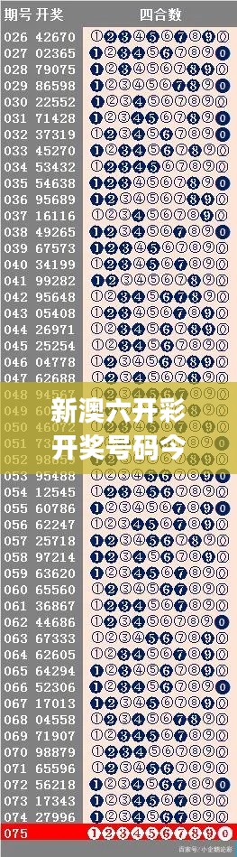 新澳六开彩开奖号码今天,实用性执行策略讲解_豪华款47.292-5