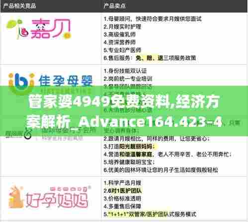管家婆4949免费资料,经济方案解析_Advance164.423-4