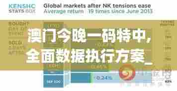 澳门今晚一码特中,全面数据执行方案_Lite71.677-3