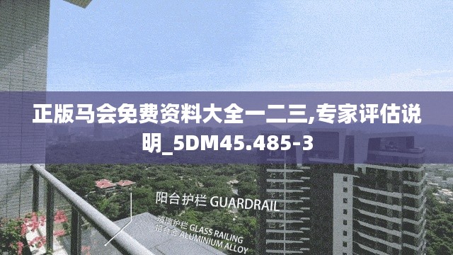 正版马会免费资料大全一二三,专家评估说明_5DM45.485-3