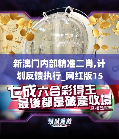 新澳门内部精准二肖,计划反馈执行_网红版15.728-9