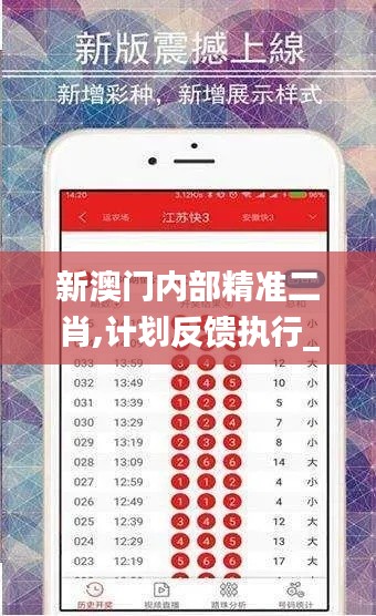 新澳门内部精准二肖,计划反馈执行_网红版15.728-9