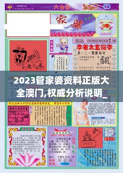 2023管家婆资料正版大全澳门,权威分析说明_网页版156.153-2