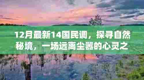 探寻自然秘境的心灵之旅，最新民调揭示的12月全国调查启示