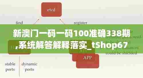 新澳门一码一码100准确338期,系统解答解释落实_tShop67.367-5