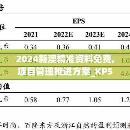 2024新澳精准资料免费,项目管理推进方案_KP58.266-4