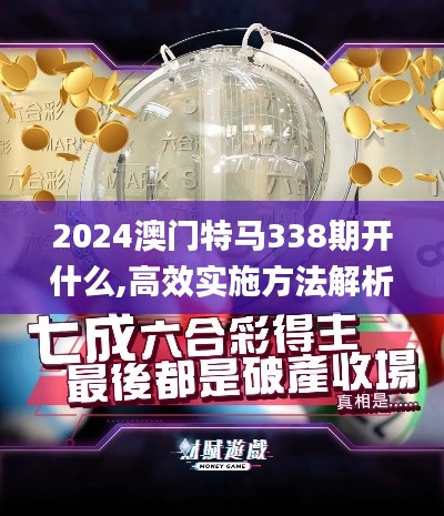 2024澳门特马338期开什么,高效实施方法解析_界面版26.389-6