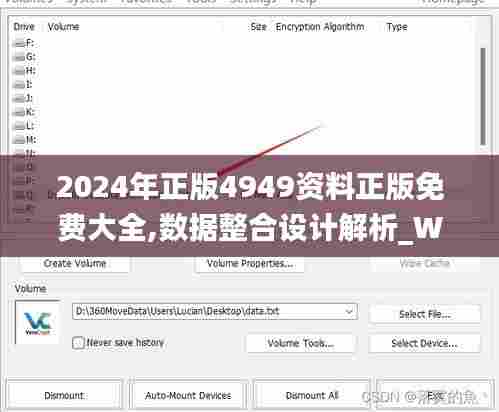 2024年正版4949资料正版免费大全,数据整合设计解析_WP版29.803-2