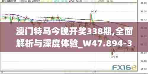 澳门特马今晚开奖338期,全面解析与深度体验_W47.894-3