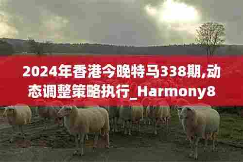 2024年香港今晚特马338期,动态调整策略执行_Harmony88.395-9