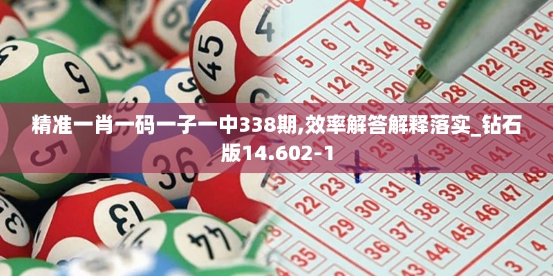 精准一肖一码一子一中338期,效率解答解释落实_钻石版14.602-1