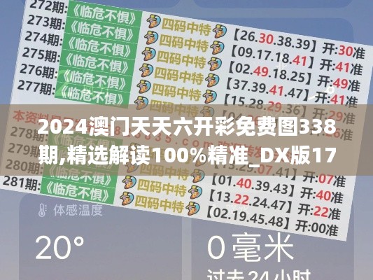 2024澳门天天六开彩免费图338期,精选解读100%精准_DX版174.385-4