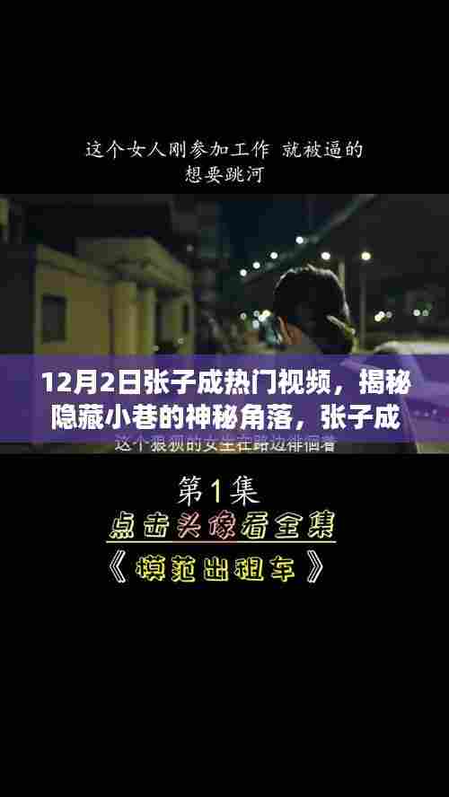 揭秘隐藏小巷神秘角落，张子成带你探寻特色小店热门视频回顾