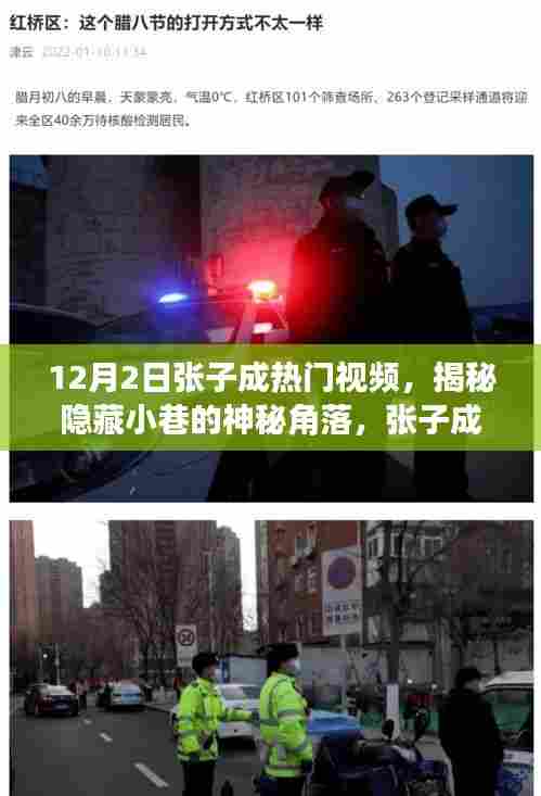 揭秘隐藏小巷神秘角落,张子成带你探寻特色小店热门视频回顾