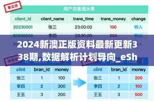 2024新澳正版资料最新更新338期,数据解析计划导向_eShop161.540-1