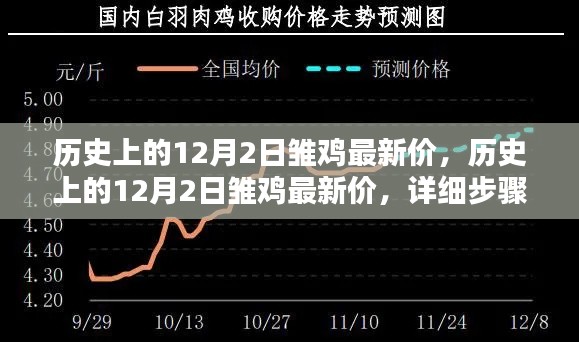 历史上的12月2日雏鸡最新价,详细步骤指南与价格解析