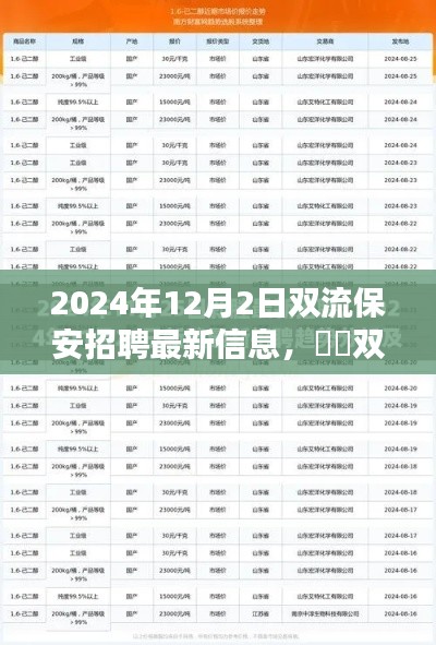 2024年双流保安招聘最新信息深度解析,体验、对比与前景展望