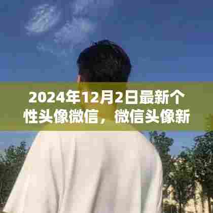2024年最新微信个性头像趋势探索，引领风尚的新选择