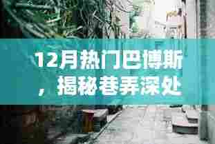 揭秘巷弄深处的巴博斯秘境,小巷中的巴博斯特色小店火爆十二月