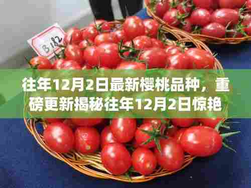 『揭秘12月2日樱桃新品种，小红书带你领略甜美世界』