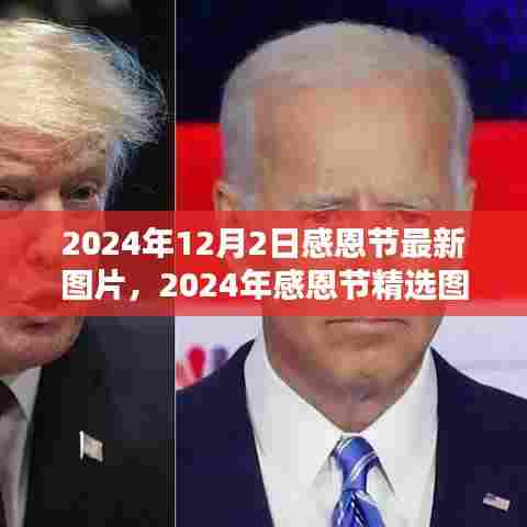 2024年感恩节精选图片回顾与赏析,最新图片一览